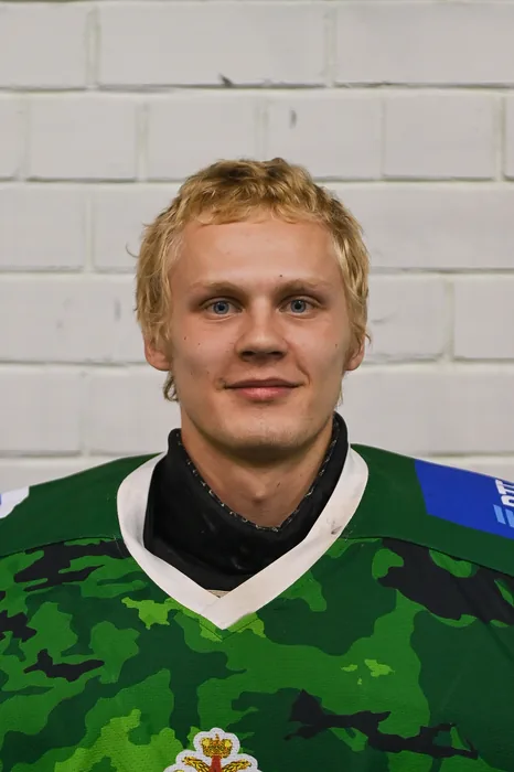Ильин Егор
